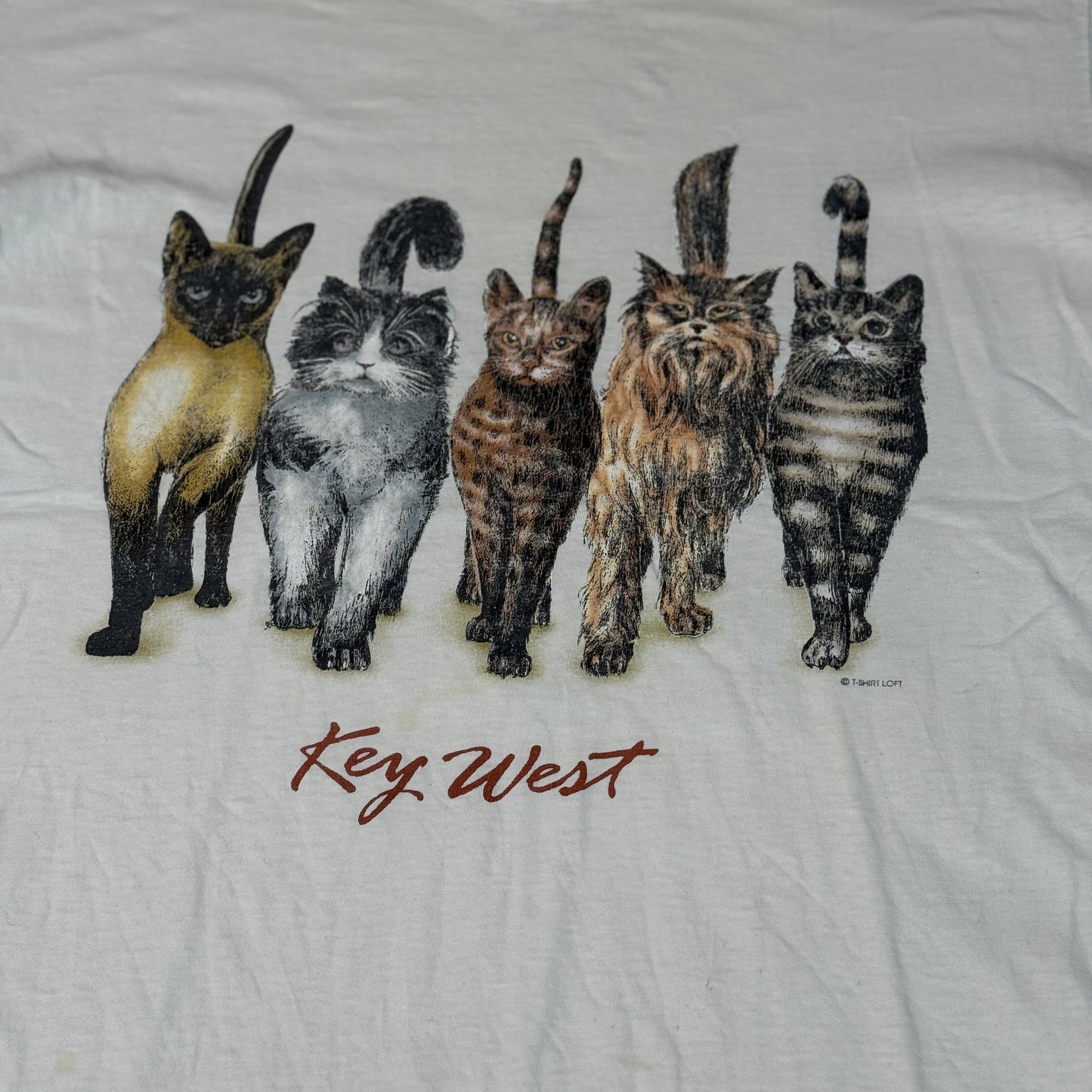 Prints of Tails Vintage Cat T-Shirt